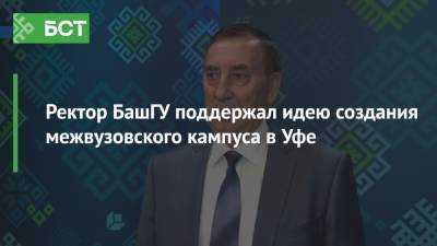 Владимир Путин - Радий Хабиров - Ректор БашГУ поддержал идею создания межвузовского кампуса в Уфе - bash.news - Россия - Башкирия - Уфа