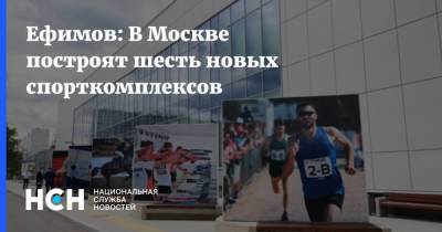 Владимир Ефимов - Ефимов: В Москве построят шесть новых спорткомплексов - nsn.fm - Москва