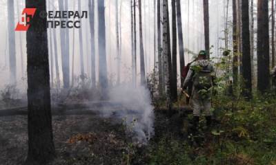 МЧС: лес под Первоуральском продолжает гореть - fedpress.ru - Свердловская обл. - Первоуральск
