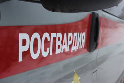 В Челябинске пассажир с пистолетом устроил драку с водителем троллейбуса - znak.com - Россия - Челябинск