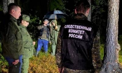 Стало известно, чьи обугленные тела нашли в лесу: это мать и 2-летняя дочь - gubdaily.ru - Ленинградская обл. - р-н Выборгский