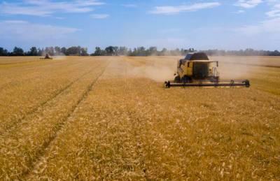 ПАЕК завершила уборку ранних зерновых: высокие показатели у проса - agroportal.ua - Украина - Николаевская обл.