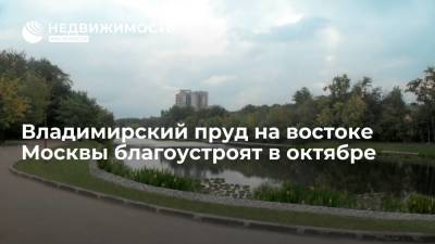 Владимирский пруд в районе Перово на востоке Москвы благоустроят в октябре 2021 года - realty.ria.ru - Москва