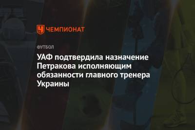 Андрей Шевченко - Сергей Ребров - Александр Петраков - УАФ подтвердила назначение Петракова исполняющим обязанности главного тренера Украины - championat.com - Украина - Казахстан - Франция