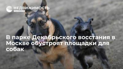В парке Декабрьского восстания в Москве обустроят площадки для собак - realty.ria.ru - Москва - Благоустройство