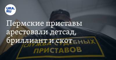 Пермские приставы арестовали детсад, бриллиант и скот - ura.news - Пермский край