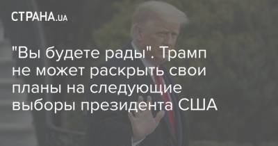 Дональд Трамп - Марк Милль - "Вы будете рады". Трамп не может раскрыть свои планы на следующие выборы президента США - strana.ua - США - Украина