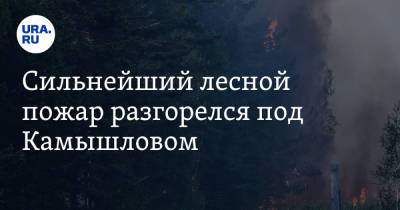 Сильнейший лесной пожар разгорелся под Камышловом. «Самый крупный в регионе» - ura.news - Свердловская обл. - Первоуральск