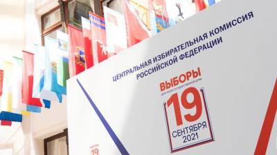Пилот-инструктор рассказал, почему будет голосовать в сентябре онлайн - vm.ru