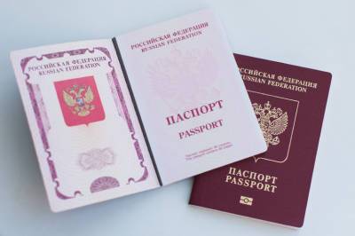 Максут Шадаев - В России могут появиться паспорта с возможностью показывать их через QR-код - neva.today - Москва - Россия - Санкт-Петербург