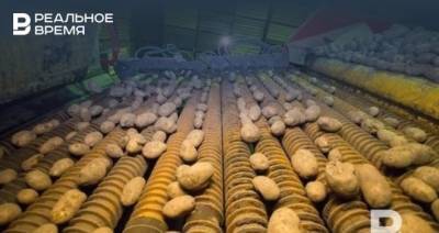 Максим Платонов - На зарплаты россиян в 2021 году можно купить на четверть меньше картошки, чем в 2020 - realnoevremya.ru - респ. Чувашия - Алтайский край - респ. Алтай - Костромская обл. - Омская обл. - Калининградская обл. - респ. Хакасия