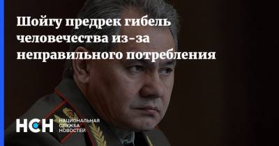 Сергей Шойгу - Шойгу предрек гибель человечества из-за неправильного потребления - nsn.fm - Россия