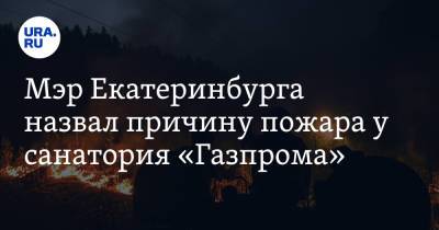 Алексей Орлов - Мэр Екатеринбурга назвал причину пожара у санатория «Газпрома» - ura.news - Екатеринбург - Первоуральск