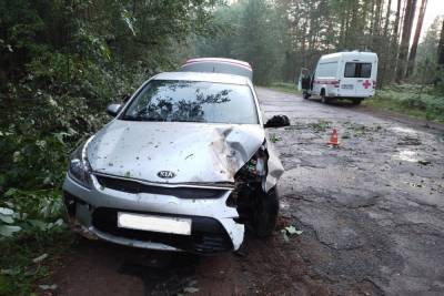 Водитель врезался в дерево в Великолукском районе и получил травмы - mk-pskov.ru - Россия - Псковская обл. - Псков