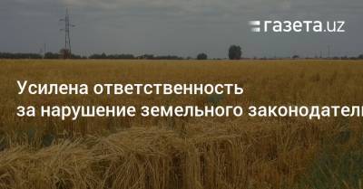 Усилена ответственность за нарушение земельного законодательства - gazeta.uz - Узбекистан