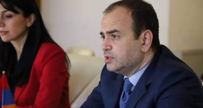 Зара Синанян - Пашинян отправил в отпуск уполномоченного по делам диаспоры Армении - ru.armeniasputnik.am - Армения
