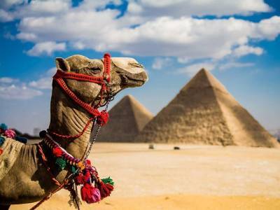 Росавиация выдала допуски на полеты в Египет из Челябинской области - u24.ru - Египет - Челябинская обл. - Челябинск - Магнитогорск