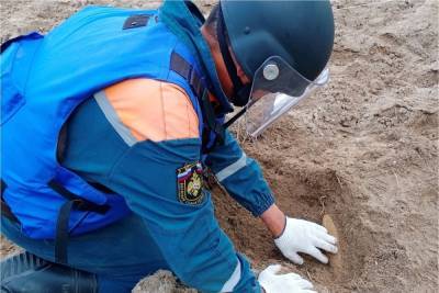 В Тверской области саперы в ручном режиме исследовали 30 гектаров земли - tver.mk.ru - Россия - Тверская обл. - район Ржевский