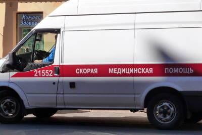 Петербург стал лидером среди городов по числу суточных заболевших COVID-19 - spb.mk.ru - Москва - Санкт-Петербург - Московская обл.