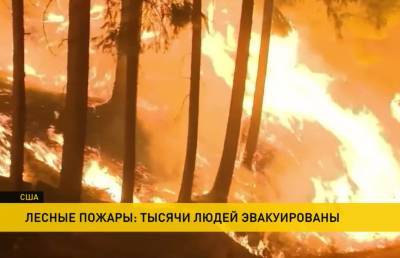 Пожары не заканчиваются: в Северной Калифорнии огонь уничтожил целый город - ont.by - США - Италия - Белоруссия - Испания - Греция - шт. Калифорния - Босния и Герцеговина