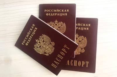 Максут Шадаев - Бумажный паспорт можно будет заменить смарт-картой - lipetskmedia.ru - Россия