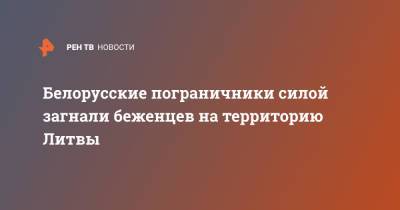 Белорусские пограничники силой загнали беженцев на территорию Литвы - ren.tv - Белоруссия - Литва