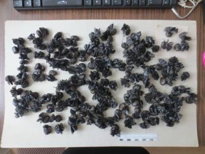 В Смоленской области задержали еще двоих приезжих с крупной партией героина - rabochy-put.ru - Смоленская обл.