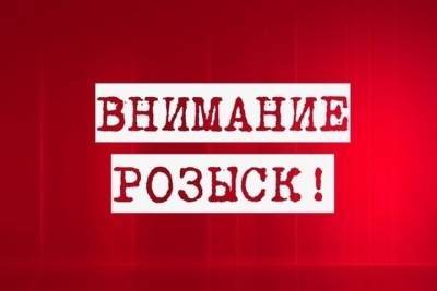 Госавтоинспекция просит откликнуться очевидцев смертельного ДТП под Тулой - tula.mk.ru - Россия - Крым - Тула - Тульская обл. - район Дубенский - район Суворовский