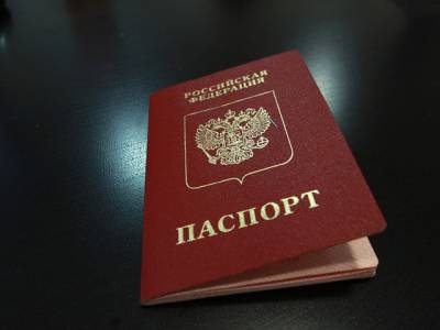 Максут Шадаев - До конца года станет известно, будет ли у россиян цифровой паспорт - u24.ru - Россия
