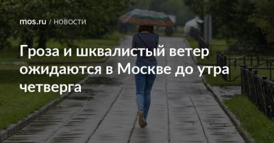 Гроза и шквалистый ветер ожидаются в Москве до утра четверга - mos.ru - Москва