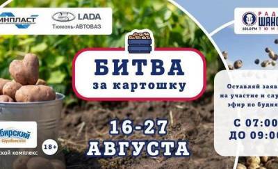 Тюменцев приглашают принять участие в "Битве за картошку" - news.megatyumen.ru - Тюмень