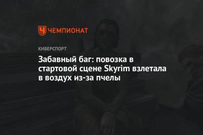 Забавный баг: повозка в стартовой сцене Skyrim взлетала в воздух из-за пчелы - championat.com