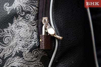 В Коми у чиновницы на работе похитили сумочку с кошельком - bnkomi.ru - респ. Коми - Сосногорск