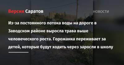 Из-за постоянного потока воды на дороге в Заводском районе выросла трава выше человеческого роста. Горожанка переживает за детей, которые будут ходить через заросли в школу - nversia.ru