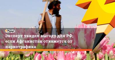 Забихулла Муджахид - Эксперт увидел выгоду для РФ, если Афганистан откажется от наркотрафика - ridus.ru - Россия - Афганистан