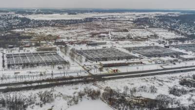 Украина собралась превратить шахтёров и металлургов подконтрольного Донбасса в животноводов - newdaynews.ru - Украина - Киев - Луганская обл. - Донецкая обл.