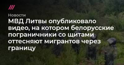 МВД Литвы опубликовало видео, на котором белорусские пограничники со щитами оттесняют мигрантов через границу - tvrain.ru - Белоруссия - Литва - Вильнюс - Минск