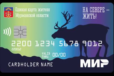 Северяне выбрали дизайн Единой карты жителя Мурманской области - murmansk.mk.ru - Мурманская обл.