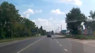 На воронежской трассе из окна иномарки на полном ходу выбросили котёнка - vestivrn.ru - Воронеж