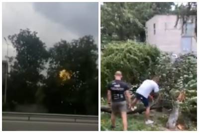 Непогода натворила бед в Украине, ураган срывал рекламные щиты и валил деревья: кадры - politeka.net - Украина