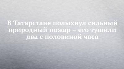 В Татарстане полыхнул сильный природный пожар – его тушили два с половиной часа - chelny-izvest.ru - Россия - респ. Татарстан