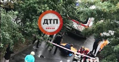 Мужчину избили и застрелили в Киеве в ходе криминальных бизнес разборок, — СМИ (фото, видео) - focus.ua - Украина - Киев - район Днепровский, Киев - Нападение