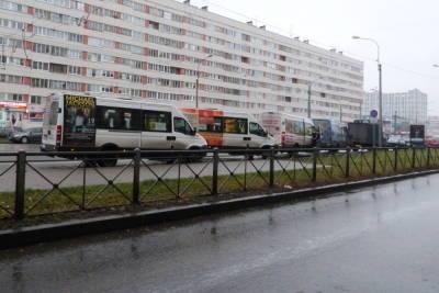 Жители Московского района попросили найти альтернативу коммерческому автобусу К-213 - spb.mk.ru - р-н. Московский