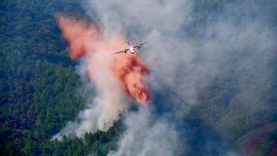 Во Франции - Во Франции один человек погиб и 27 пострадали из-за лесных пожаров - iz.ru - Израиль - Франция