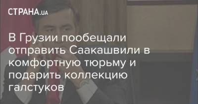 Михаил Саакашвили - В Грузии пообещали отправить Саакашвили в комфортную тюрьму и подарить коллекцию галстуков - strana.ua - Украина - Грузия