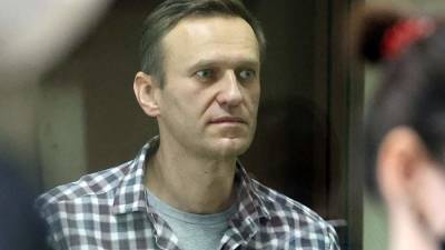 Алексей Навальный - Эксперты объяснили появление «интервью Навального» грузинскому СМИ - iz.ru - Россия - Израиль - Владимирская обл.