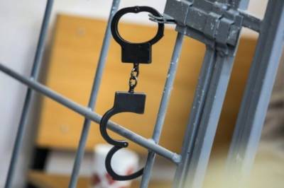 Владельцам сети нарколабораторий в Ленобласти дали от 6 до 19 лет тюрьмы - ivbg.ru - Украина - Ленинградская обл. - Санкт-Петербург - Петербург