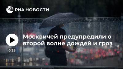Елена Волосюк - Синоптик "Фобоса" Волосюк: вторая волна дождей и гроз накроет Москву ночью - ria.ru - Москва