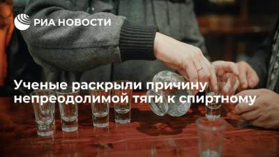 Ученые раскрыли причину непреодолимой тяги к спиртному - ria.ru - Москва - Швеция