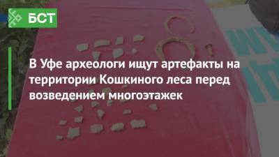В Уфе археологи ищут артефакты на территории Кошкиного леса перед возведением многоэтажек - bash.news - Россия - Уфа